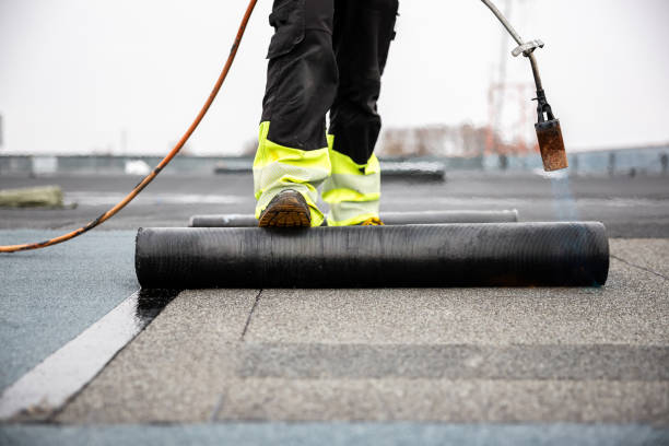 Best Roof Ventilation Installation  in Social Circle, GA